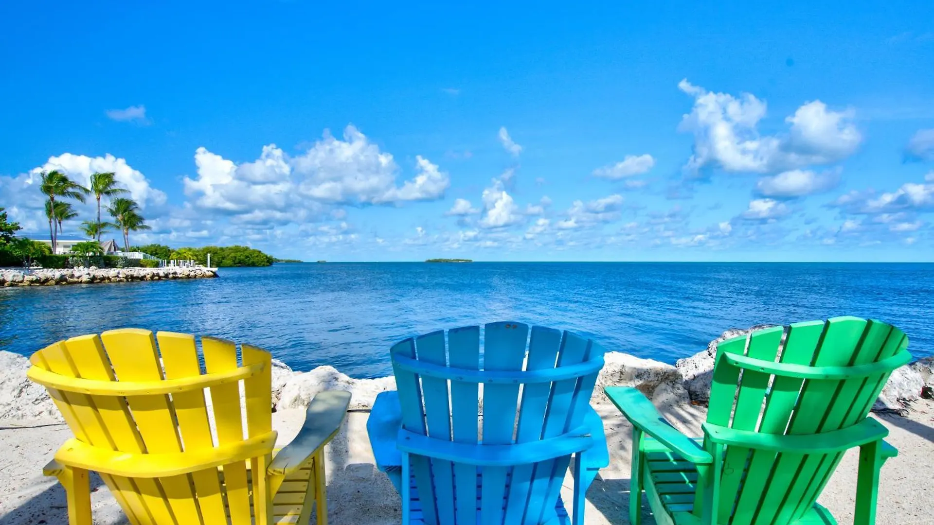 Staying Near Florida Keys Aquarium Encounters: 4 Budget Hotels Compared